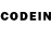 Псилоцибиновые грибы GOLDEN TEACHER Houkouin_San