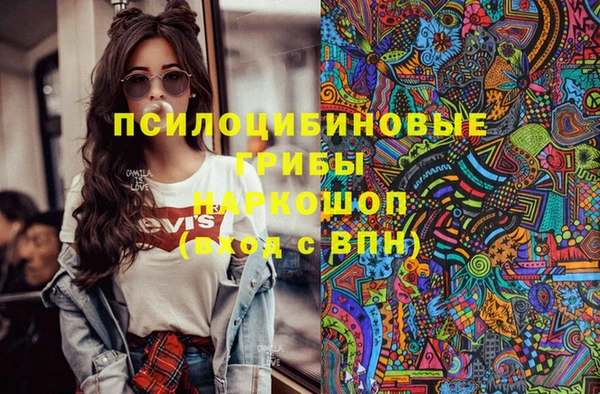 тгк Алзамай