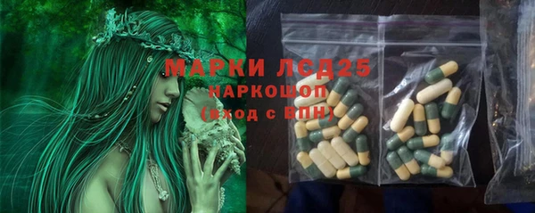 тгк Алзамай