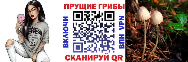 Галлюциногенные грибы GOLDEN TEACHER  Новодвинск 