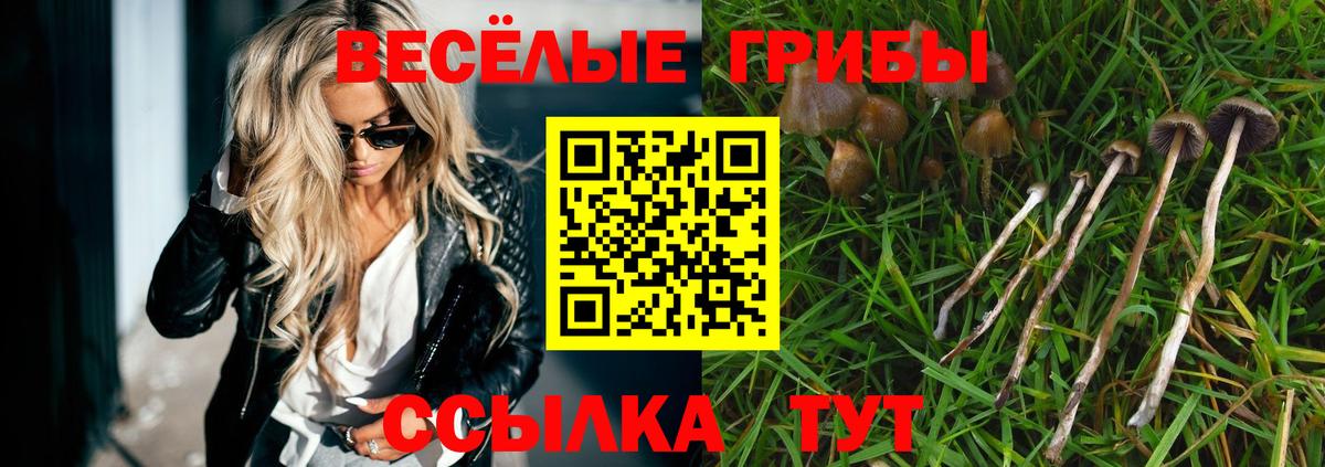 Новодвинск  Галлюциногенные грибы мухоморы  Вход с VPN 