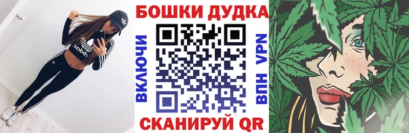 продажа наркотиков  Новодвинск  OMG ONION  МАРИХУАНА OG Kush 