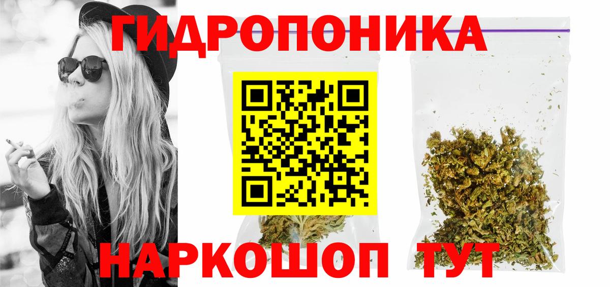Бошки марихуана план Новодвинск